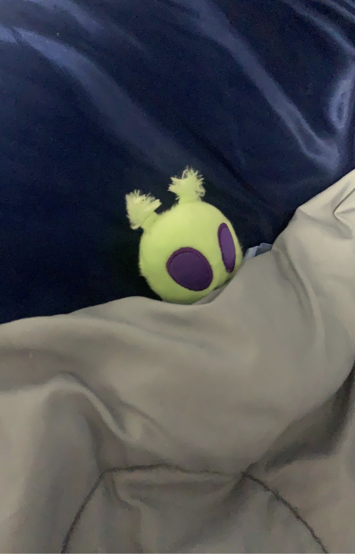 plush of the day💙💛 (requests opened) on Twitter: "💜Today's plush of the ...