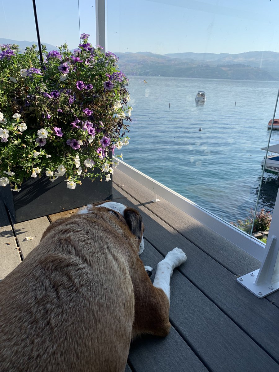 Alice Harris tweet media