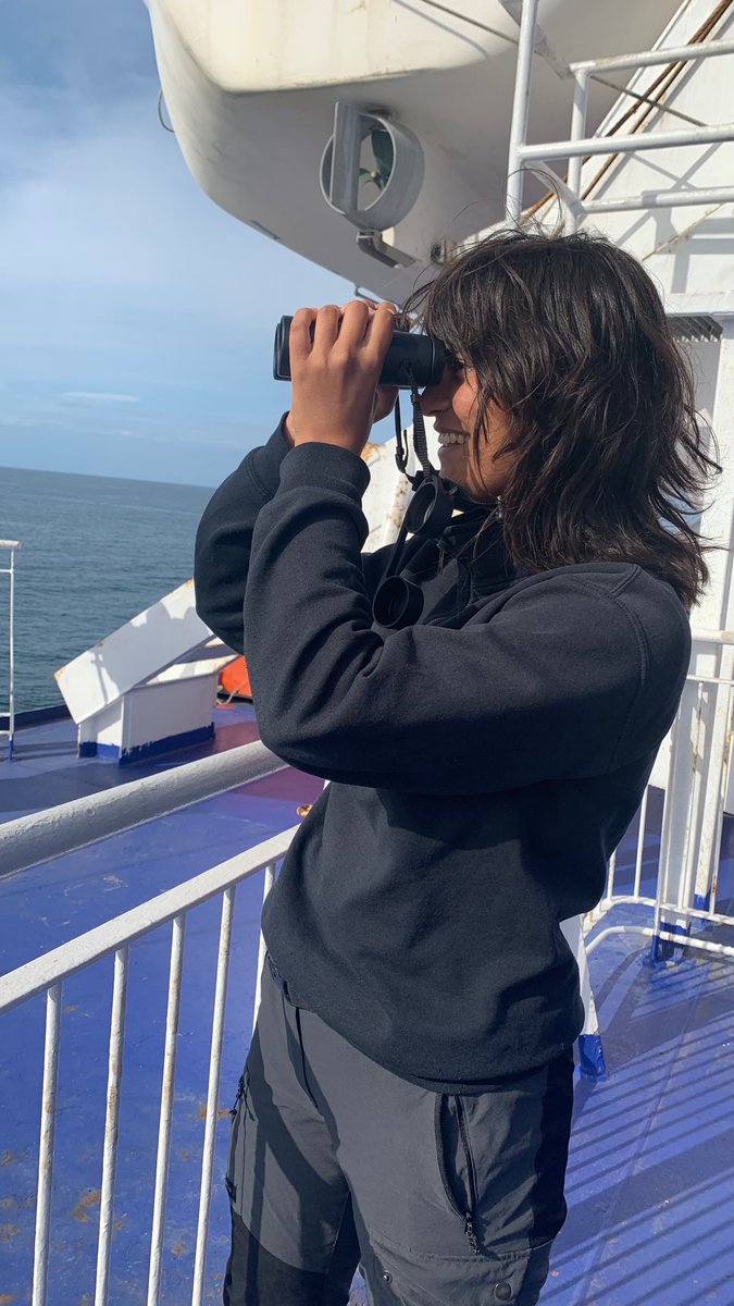 I’m very excited to have started working for @_BTO on a new project to engage people in nature across Northern Ireland. More soon! Sooty shearwater and storm petrels from the ferry to Belfast this weekend