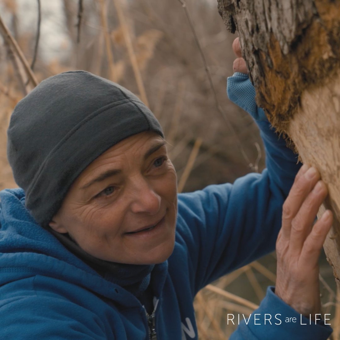 riversarelife's tweet photo. Meet Nathalie Lasselin! She is a scuba diver and explorer in Quebec, Canada. Lasselin trains divers and organizes cleanups as a team. If you're based in Canada near the St. Lawrence River, you may be able to join her!🇨🇦
Learn more about Nathalie: https://t.co/Q9qvzCjwzS https://t.co/0dPkkqCKPg