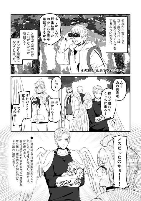 その20(完)  山🦅毛ウォッチング 