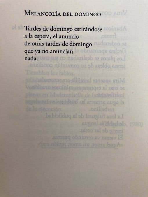 literlandweb1's tweet photo. Aurora Bernárdez https://t.co/N9iVZYQyHW