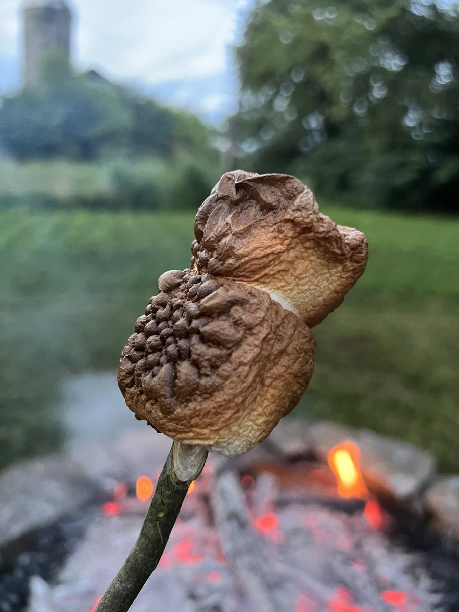 C0MMANDERFATAL's tweet photo. Hope everyone out there is having their best weekend! Ya boi decided to make a fire pit and created the perfect sโmores too! #nature #fire #grass #sky #gamersgooutside #gamerstouchgrass #notoften #butsometimes #firepit #smores #marshmello #goldenbrown #crisp #twitch #streamer https://t.co/SDCGJgvaDB