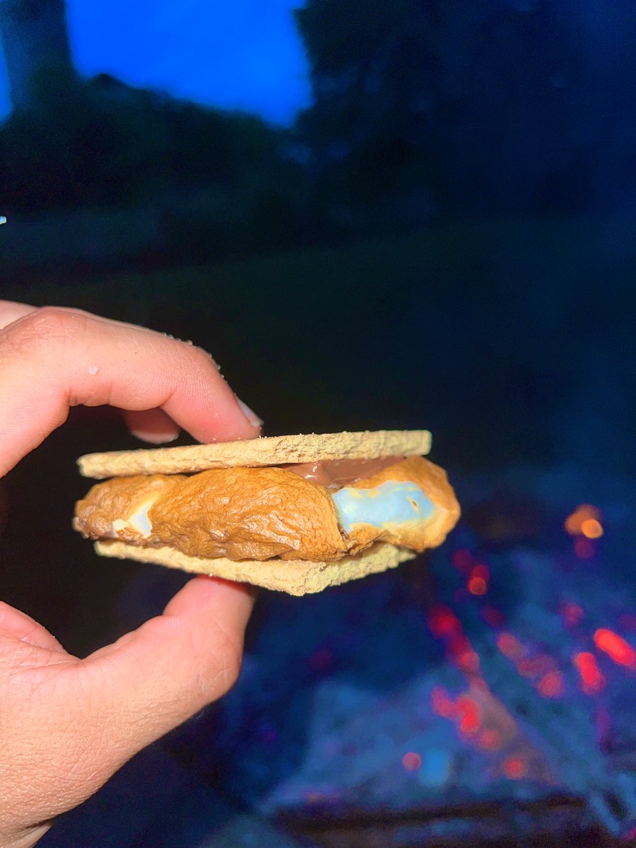 C0MMANDERFATAL's tweet photo. Hope everyone out there is having their best weekend! Ya boi decided to make a fire pit and created the perfect sโmores too! #nature #fire #grass #sky #gamersgooutside #gamerstouchgrass #notoften #butsometimes #firepit #smores #marshmello #goldenbrown #crisp #twitch #streamer https://t.co/SDCGJgvaDB