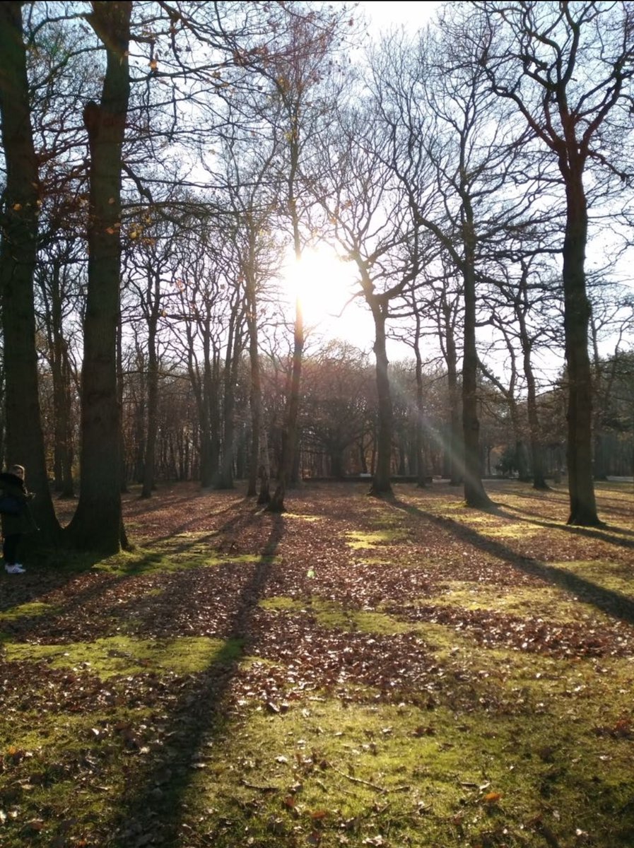 Bonjour la Normandie !
"C'est une journée idéale pour marcher dans la forêt", disait Cloclo. En effet, rien de mieux qu'un lundi au soleil ☀️pour aller se balader dans les bois. Mais on pense aussi à ceux qui bossent 💪
Bonne journée et joyeuse fête aux Fabrice 🥳
