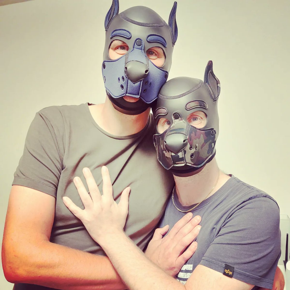 Pup_Spirou's tweet photo. Did meet a new friend, perhaps a new Alpha pup also... #nonameyet #swepup @Pup_Spirou https://t.co/H8W3Bchh3X