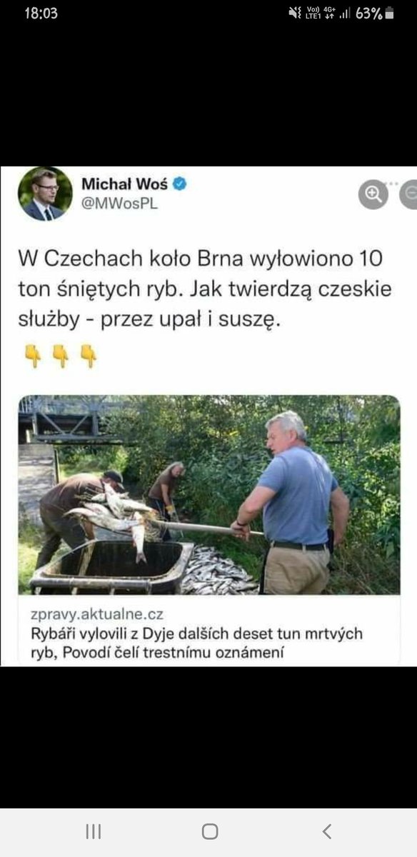Micha10515917's tweet photo. W Czechach norma, u nas Czeski film... 🤷🏻‍♂️ https://t.co/G24NUoKwlx
