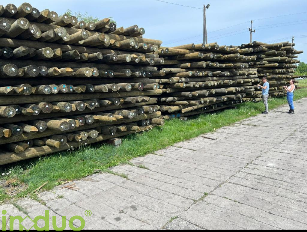 induo.de
+ 49 2161. 61 89 - 0

#woodpoles #wood_poles #induo #madeningermany #woodpolesupplier #holz #picoftheday #germany #telefonmasten #stromleitung #supply #purchase #industrie #holzbau #timber #infrastruktur #infrastructure #telephone_poles #utilitypoles