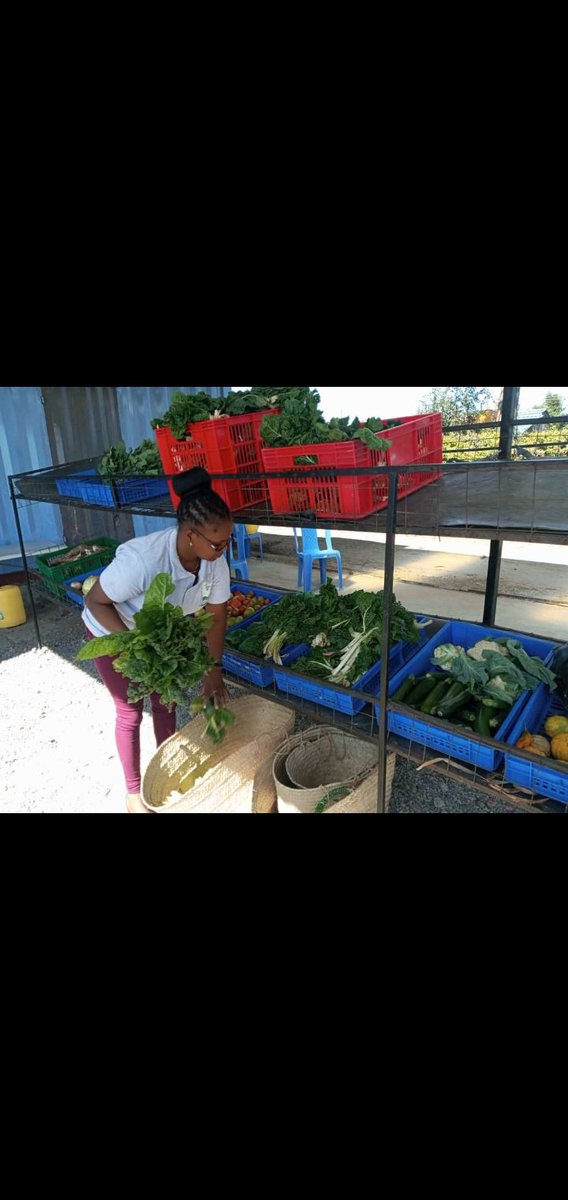 CSHEPKENYA's tweet image. Consumers are becoming better educated about the food they eat and has been made affordable so that your family can have a balanced meal. #igrowyourfood because Your health is your wealth.
#luvorganic