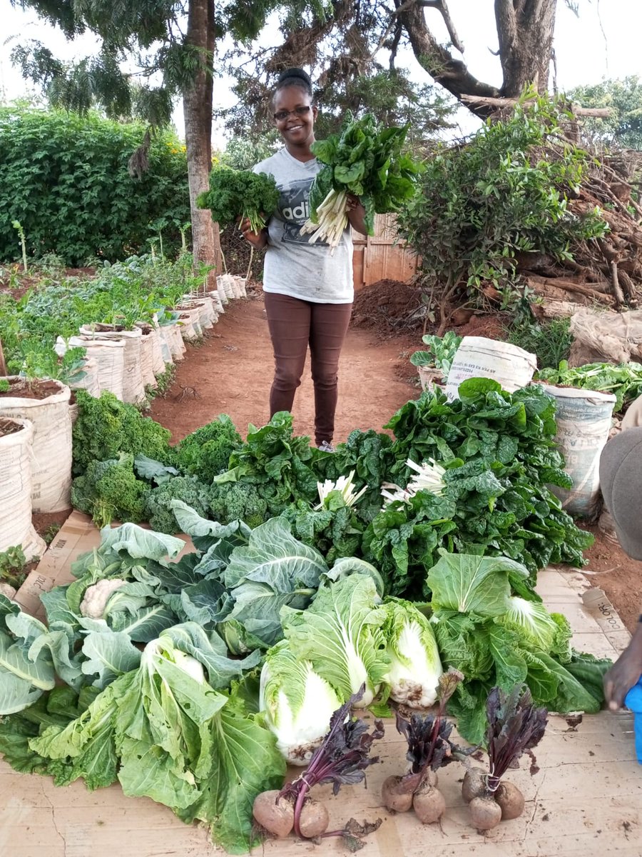 CSHEPKENYA's tweet image. Consumers are becoming better educated about the food they eat and has been made affordable so that your family can have a balanced meal. #igrowyourfood because Your health is your wealth.
#luvorganic