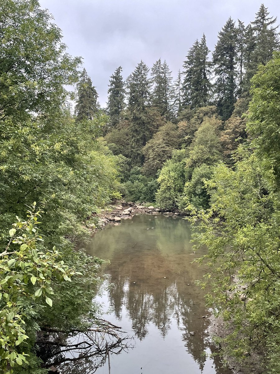 meganscheiderer's tweet photo. #workruns #pacificnorthwest https://t.co/fOymj7vGIy
