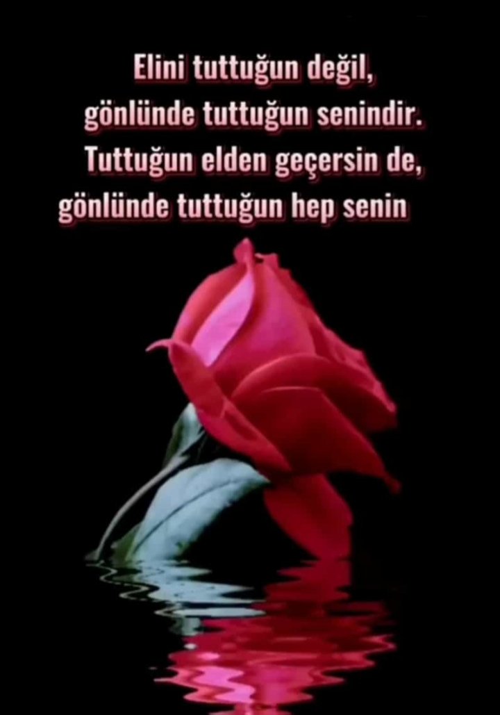 Rzgarlar4's tweet photo. Hayırlı huzurlu akşamlar diliyorum arkadaşlar vakti huzur https://t.co/HTSkzOxElT