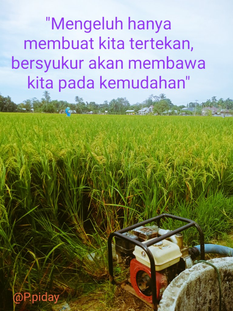 ppiday1's tweet image. #akalsehat