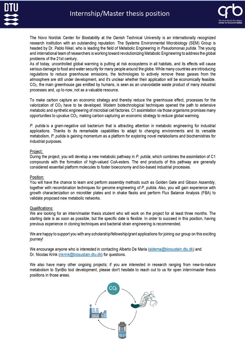 Nico Krink tweet media