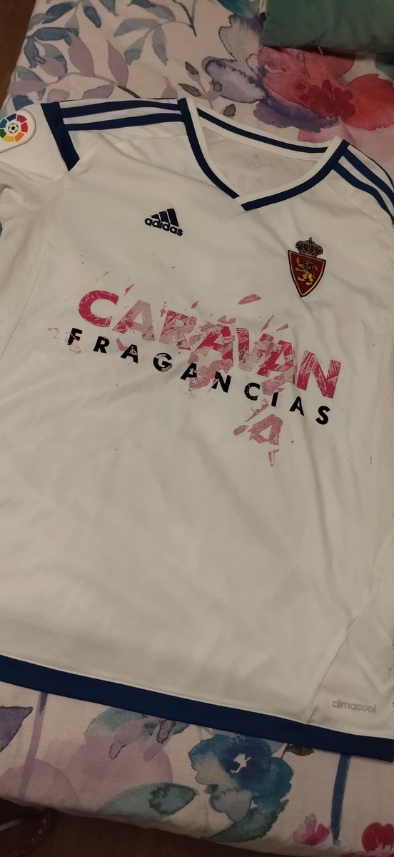 anaaav24's tweet photo. El disgusto que llevo @RealZaragoza https://t.co/wahNVu8NxW