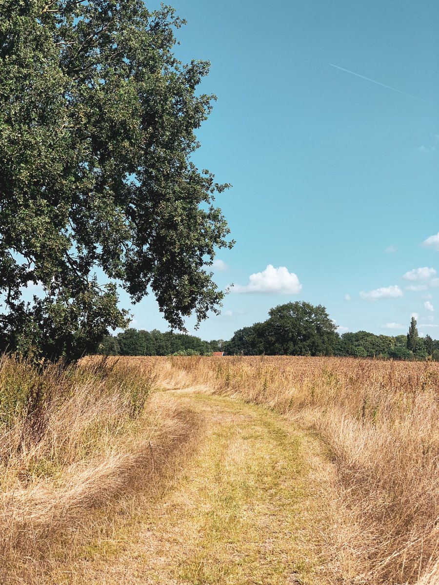 WandelMaara's tweet photo. Zo, de kop is eraf! De eerste dag op het Westerwoldepad zit erop. De campingbeheerdster geloofde niet dat ik al 31 was. Ben benieuwd of ze dat op de laatste camping ook nog zeggen. 🤣 #westerwoldepad #ergaatniksbovengroningen https://t.co/y4dY4wJhqd