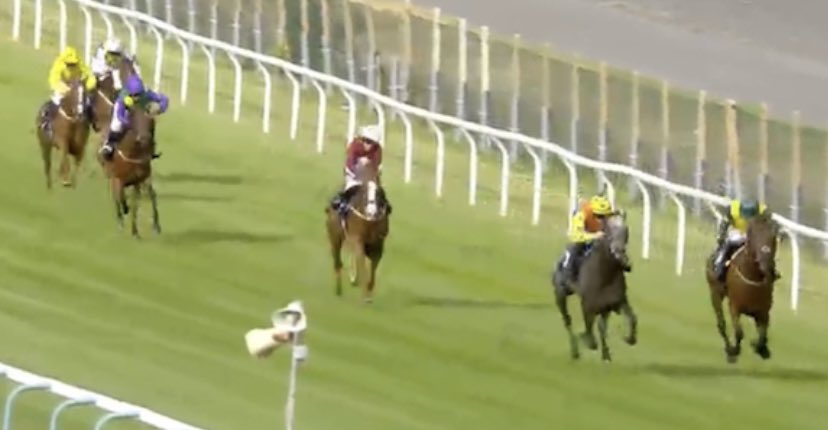 amajox's tweet photo. Congratulations @amajox #champ @RossBirkett WINS @BrightonRace #SilverBubble makes it a TREBLE 🏆🏆🏆for @GayKelleway in fighting finish denies @MC_ENNIS valiant in defeat! #neck #7ran #lasttofirst #topride #topjock 👏👏👏👏👏 https://t.co/DmN8MpS7ZI