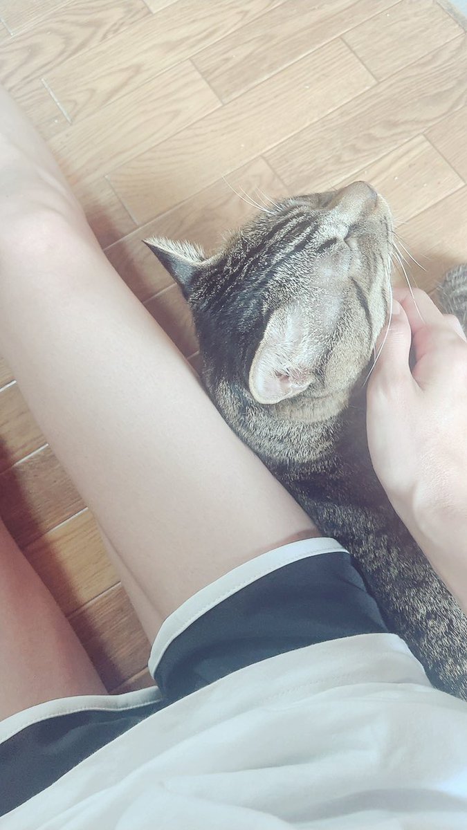 rari_miii's tweet photo. #脚 https://t.co/YvvyDQ9bpk