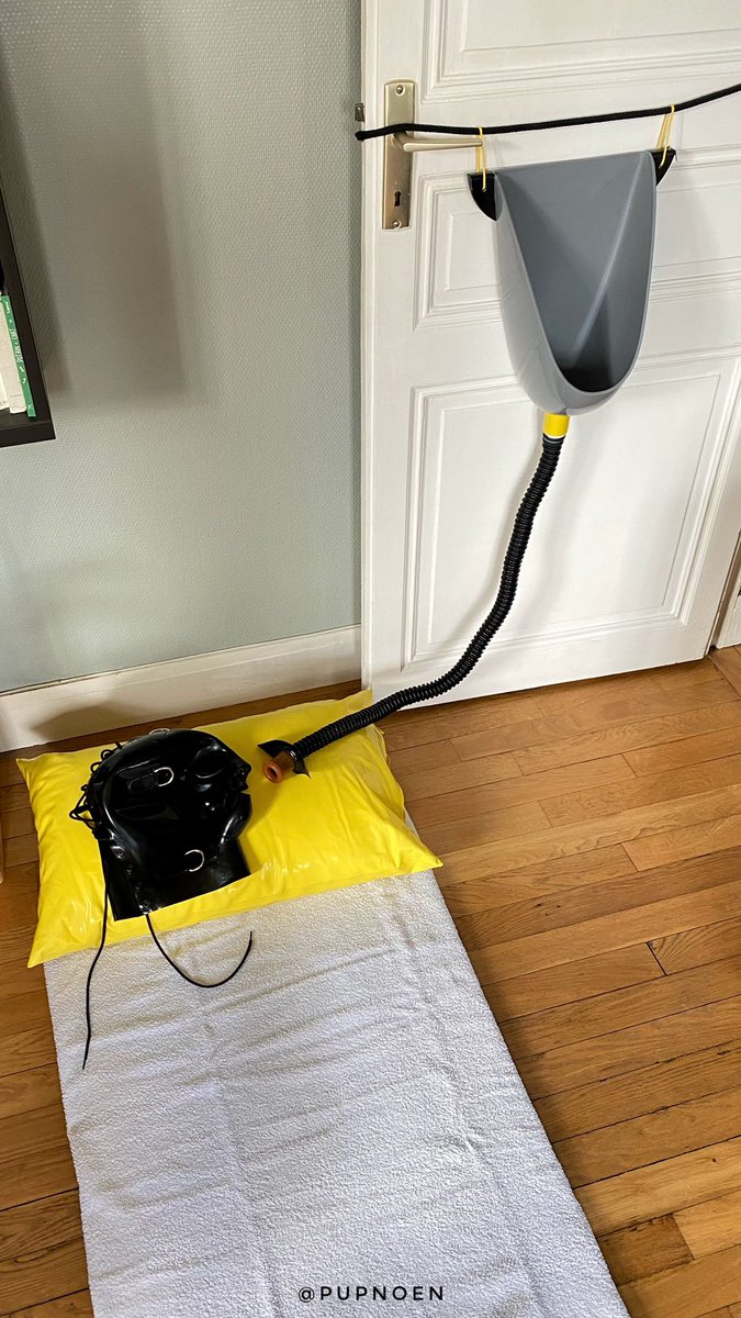 PupNoen's tweet photo. Living room toilet is ready for use… Or you’d prefer to take my place ? 😏
💦 @mastersebparis 
🚽 @PupNoen https://t.co/biMAmJqgyf