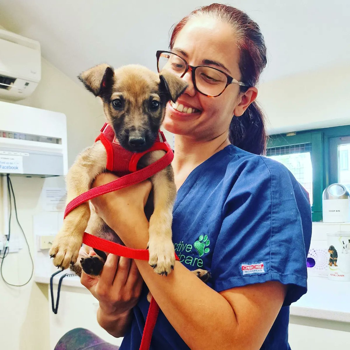 Sorry it's not cake related but I'm thrilled to post about our newest family member,  little Hugo ❤🐕