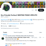 Photo by Eco-Friendly Turtles// MINTING NOW (@EFT_project)