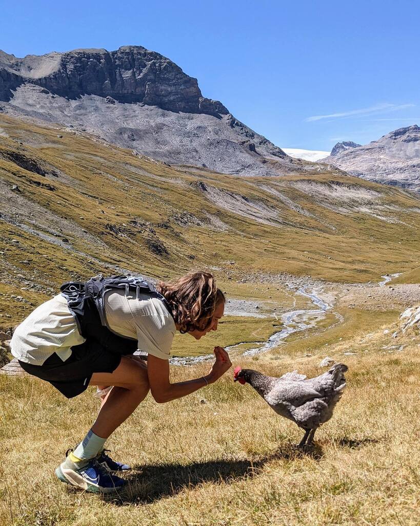 fra_puppinho's tweet photo. That’s all I have to say for summer 2022.
🤌🏾🐓🏔🚿🤯
#redefining #niketrail #vanoise #madaiii #chickens #trailworks #vertrun #50cents #campshower #beaufort #leisse #trailaddicted #sharethetrail https://t.co/4d2BwiYeF0 https://t.co/kaW1bp7lv8