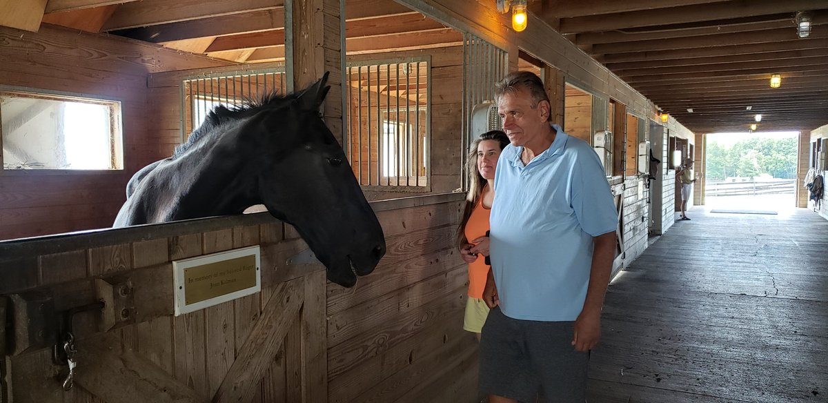 Our sanctuary is the place to be today! Our gates are open until 4:00 pm today. Come out and see our wonderful equine residents!