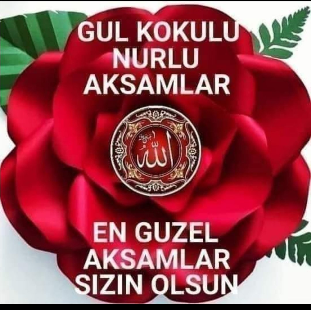 Selamün Aleyküm Reisin kardeşleri