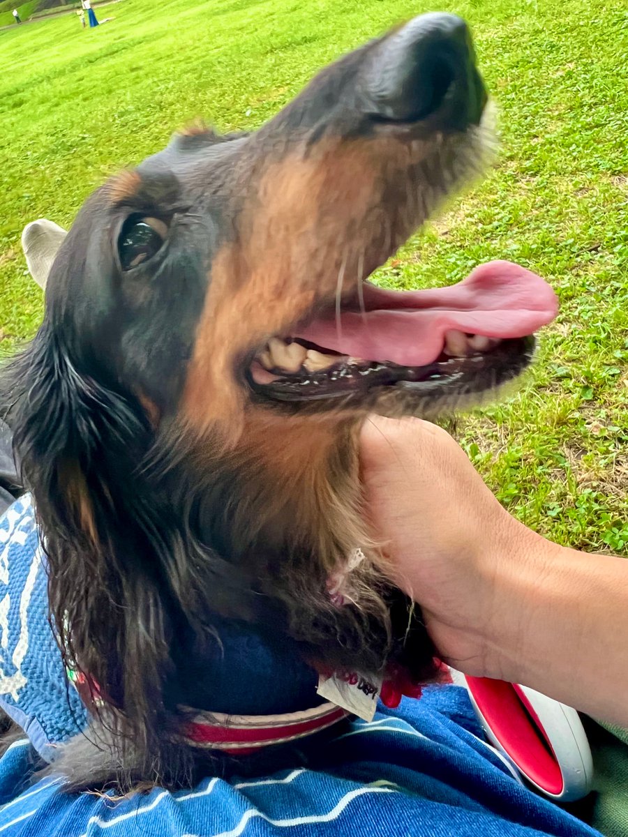 Smile.Fun.Life いしちゃん tweet media