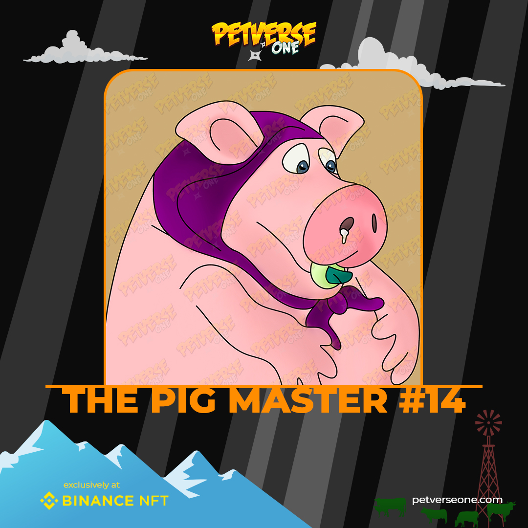 petverseone tweet media