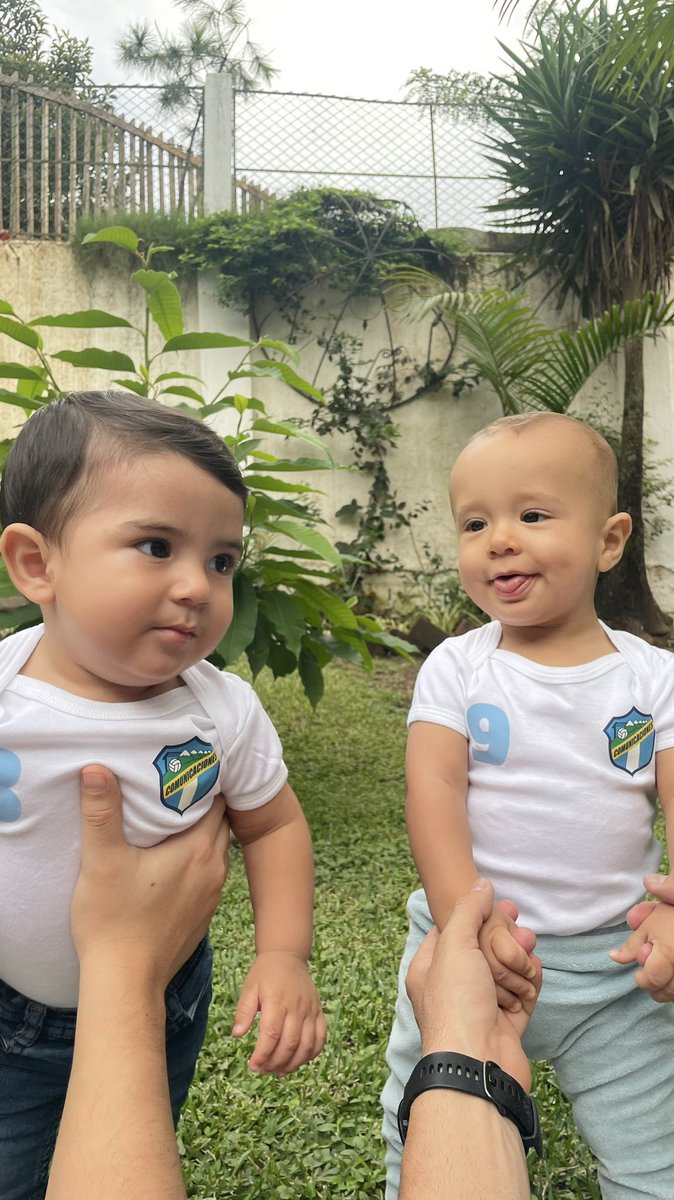 OsoPablo tweet media