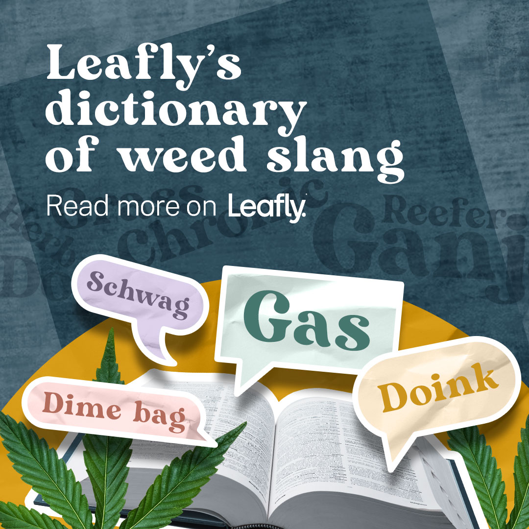 Schwag. Sticky. Jazz cabbage. All that 420 slang (and then some): bit.ly/3wecvOt