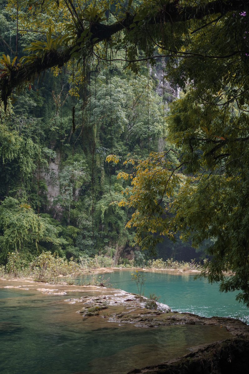 SlalomeFc's tweet photo. Mes photos préférées que j’ai prise au Guatemala 🇬🇹❤️ https://t.co/9DR2GfgOwG