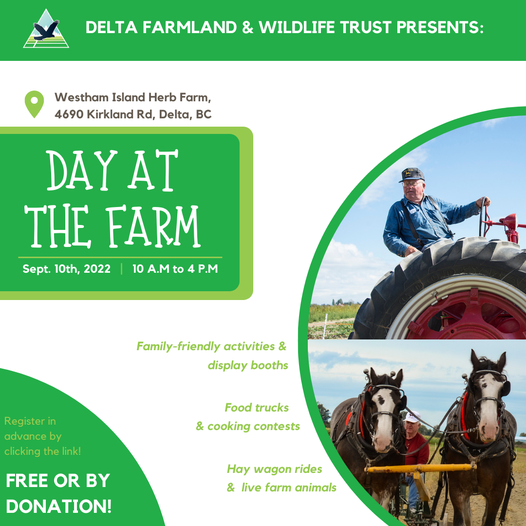 CityofDeltaBC's tweet photo. Join Delta Farmland & Wildlife Trust for Day at the Farm on September 10 at Westham Island Herb Farm! Learn about the challenges & rewards of growing quality food in the Fraser River #DeltaBC and take a hay-wagon ride or potato dig.
More info: https://t.co/76pfbUtCpM https://t.co/r7ZQj6ETKl