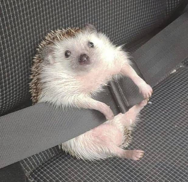 I have two exams tomorrow

I want to cry