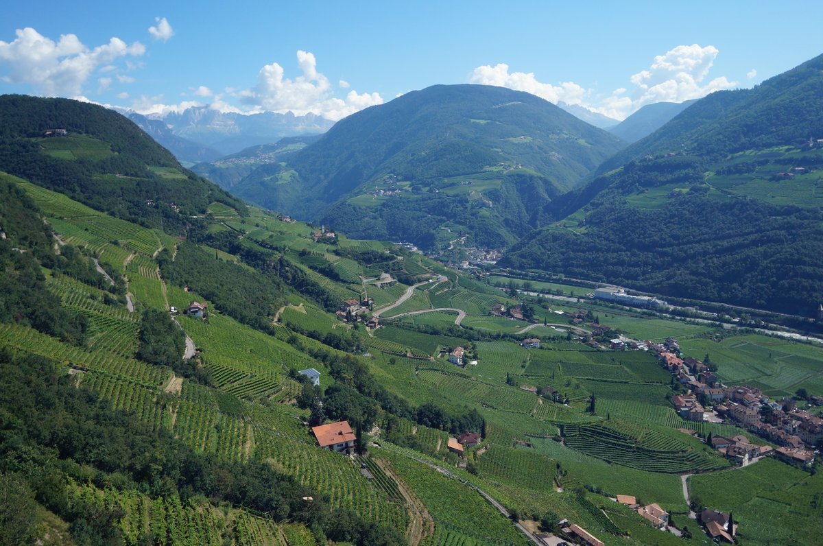 TheBookofHelp_'s tweet photo. "Everything works out in 'The Sound of Music'. The whole family climbs that damn euphoria-inducing-happy-hill and escapes the Nazis together..." 
🌄📗
#thebookofhelp #writing #books #selfcare #selfhelp #thesoundofmusic #sunday #travel #travelphotography #memoir #writingcommunity https://t.co/dkoQRz8JiV
