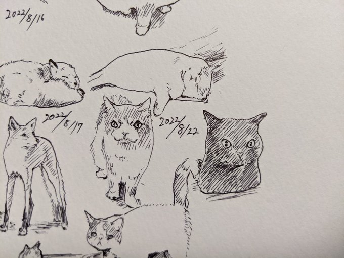 この前産まれた赤ちゃん、おっぷぁい吸うチカラが強すぎて奥さんの皮膚がヤバくて「おっぱい死ぬ」って言ってたよ おっぱい死ぬって凄いパワーワードやなって カキカキ。 