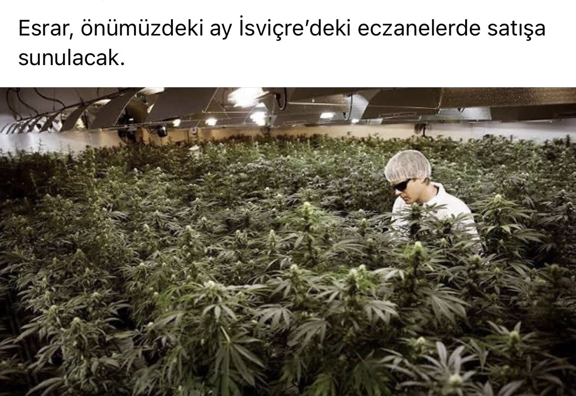 Türkiyede eczanede satılırsa internete düşer daha ucuza satılır :d
