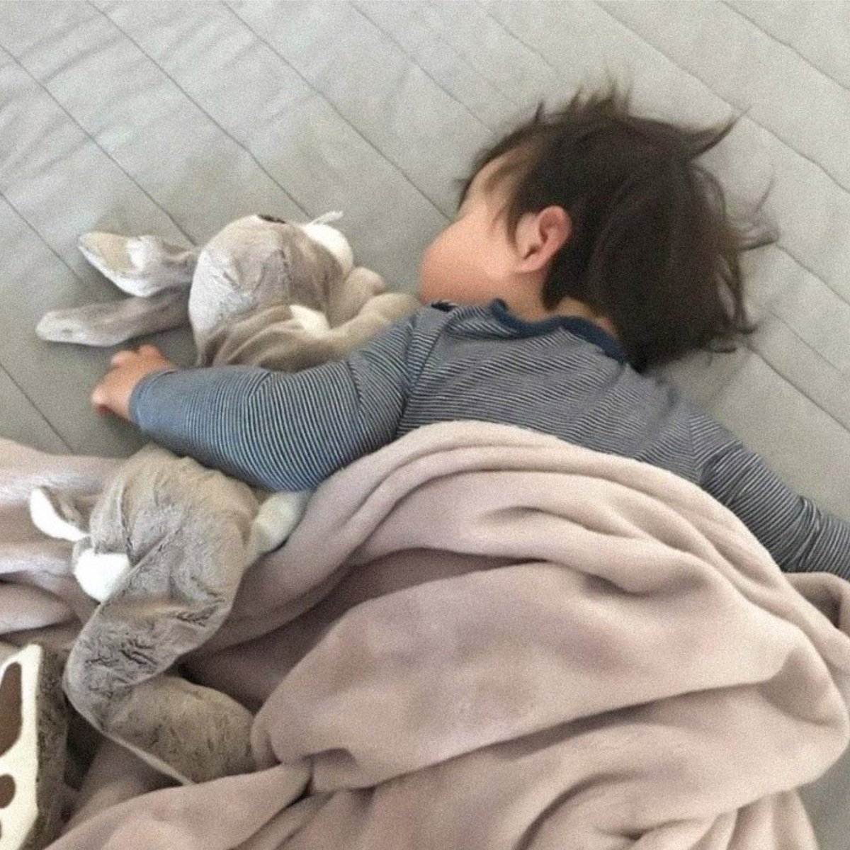 oongiboongi7's tweet photo. 🌱 they’re both learning 🌱

[REPOSTED]

single parent yg, 4k, adopted child, the child is autistic, but still very young so the ‘diagnosis’ isn’t official, helpful jk, just a soft one shot, part of a series

https://t.co/b8MxsXKEff https://t.co/tt5veVnCha
