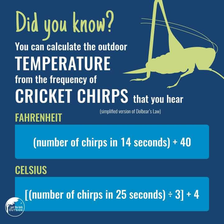 kenny_peavy's tweet photo. Ever heard of Dolbear's Law?
https://t.co/Hs4d6BbJfd
#SDGs #globalgoals #bitesizesdgs #eviroed #outdoors #nature https://t.co/I1ez6WKn4V