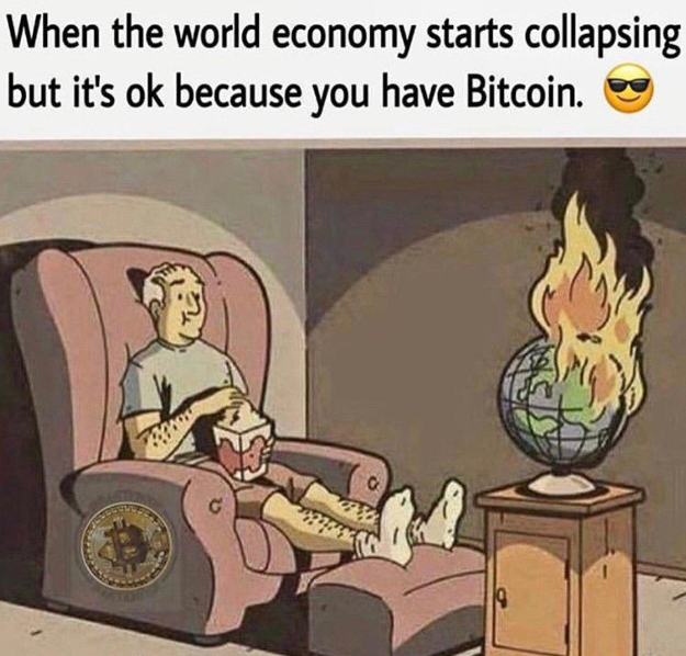 It's ok because you have bitcoin #cryptomemes