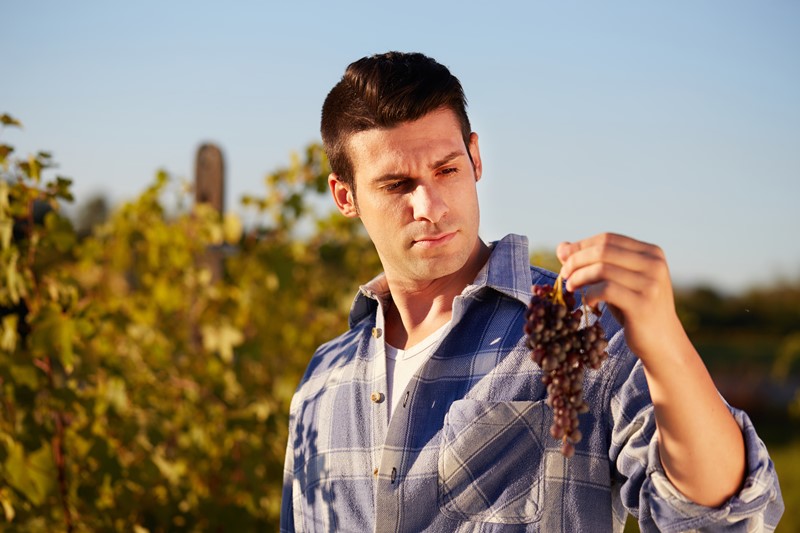 DominiodeTares's tweet photo. ¿Cuáles son las frases más gastadas del #vino? Hay sinfín de tópicos nacidos de la ignorancia y de la escasa reflexión.
Interesante en @vinetur @JosePeninS
https://t.co/gzYuqrtX1M
#ElBierzoAlto #vinetur https://t.co/YRbHoJuE2d