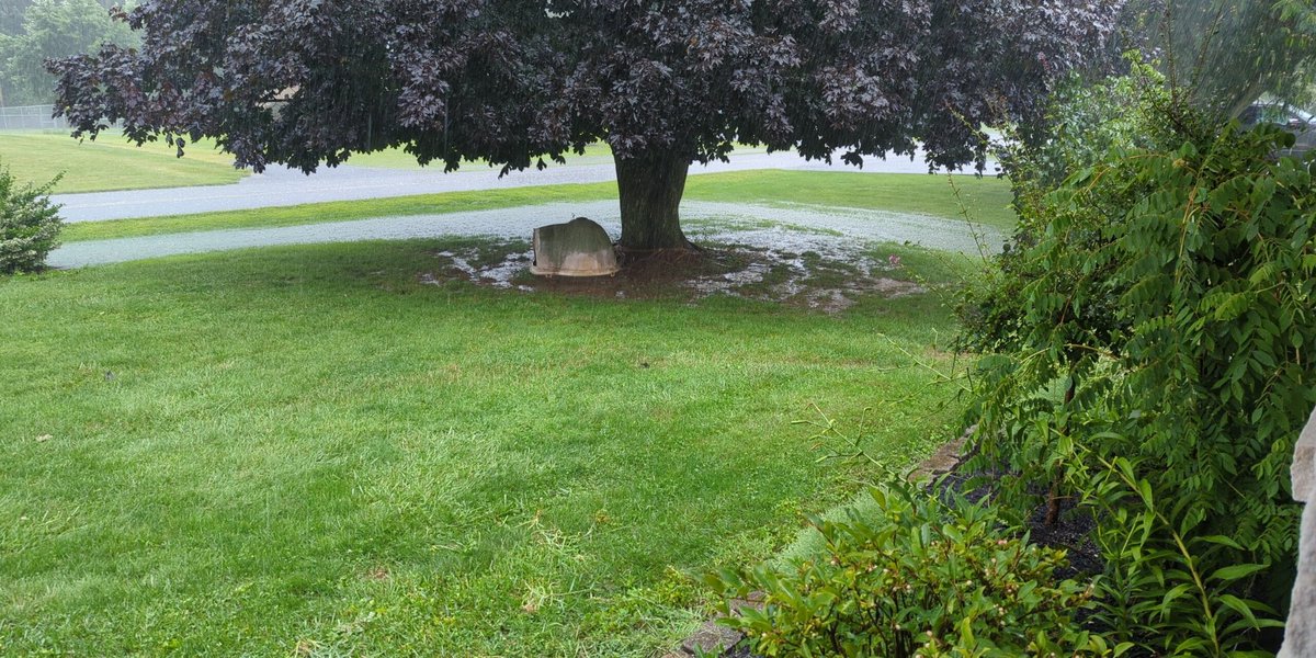 carbajc8's tweet photo. 6" of rain further south of McConnellsburg (Cito, PA)   Severe flooding. Road closures.  @NWSStateCollege #pawx #ctpwx Spotter #135025 https://t.co/jE2QmpoRiC https://t.co/umBCdveu4y