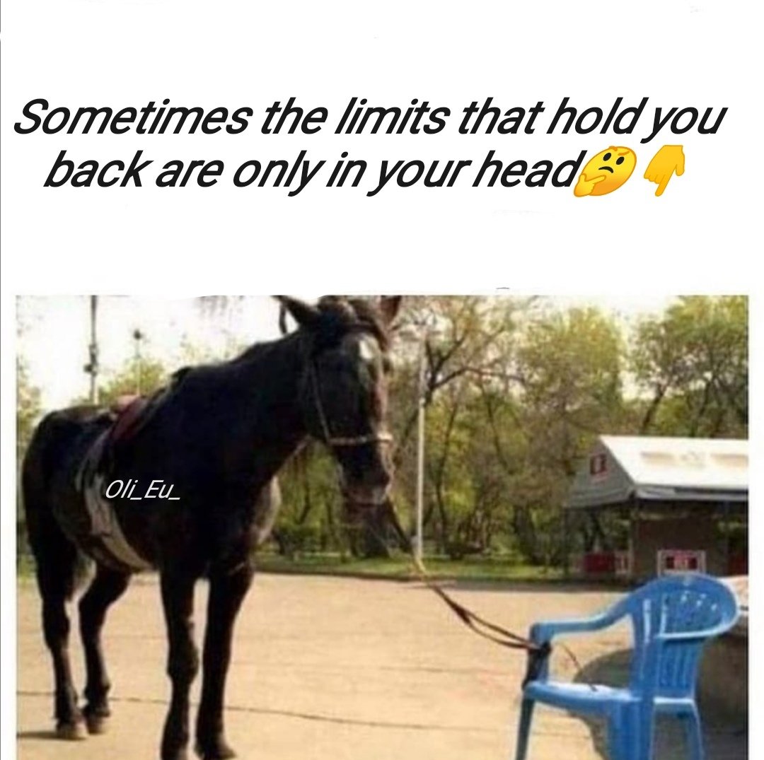 Oli_EU_'s tweet image. #Motivation #Youcanmakeit