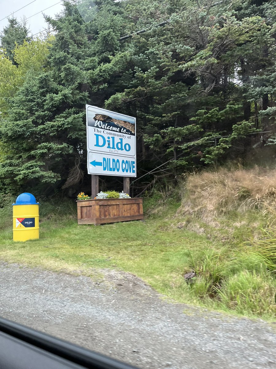 TracyHennebury's tweet photo. There’s no place like Dildo #dildobrewing #onlyinnl #ExploreNL https://t.co/W2JC3tlV1F