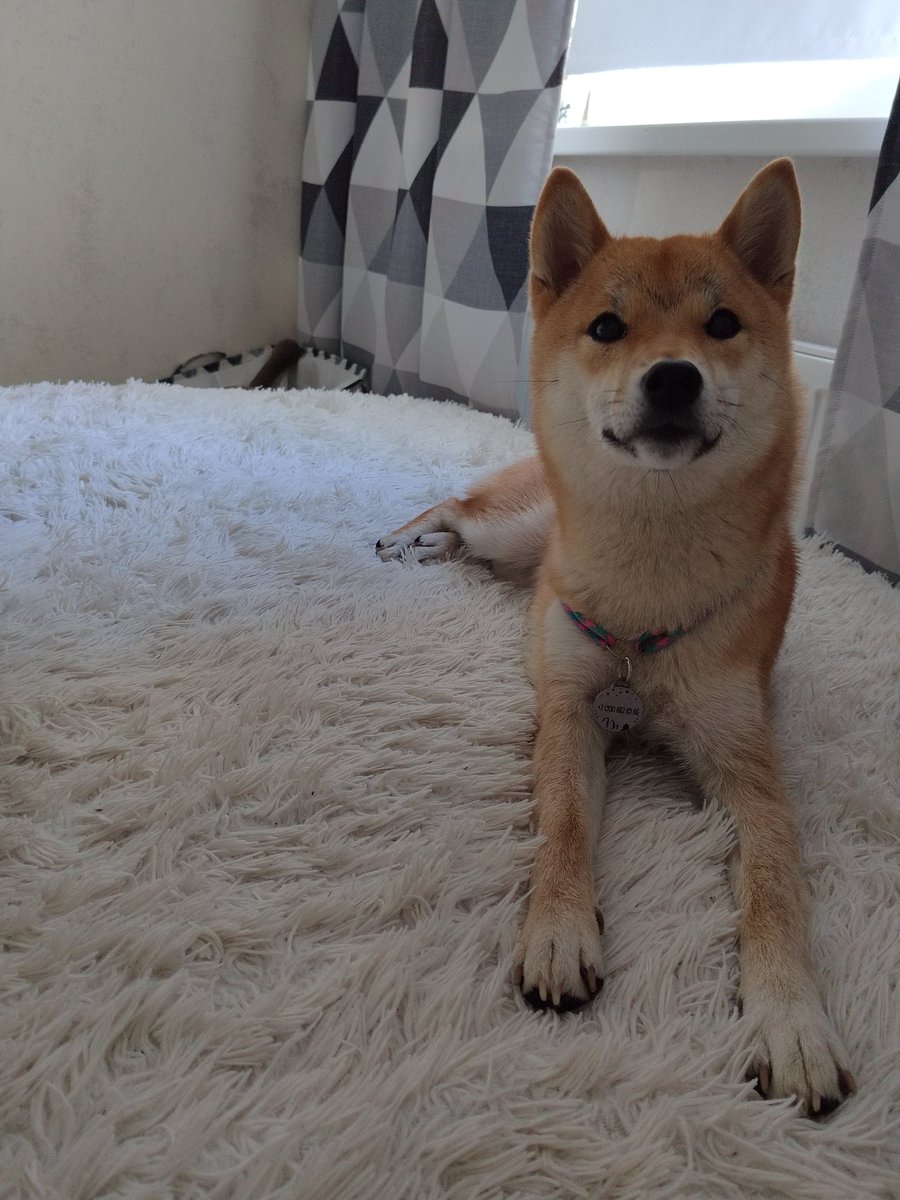 яня хантер 🇪🇸 tweet media