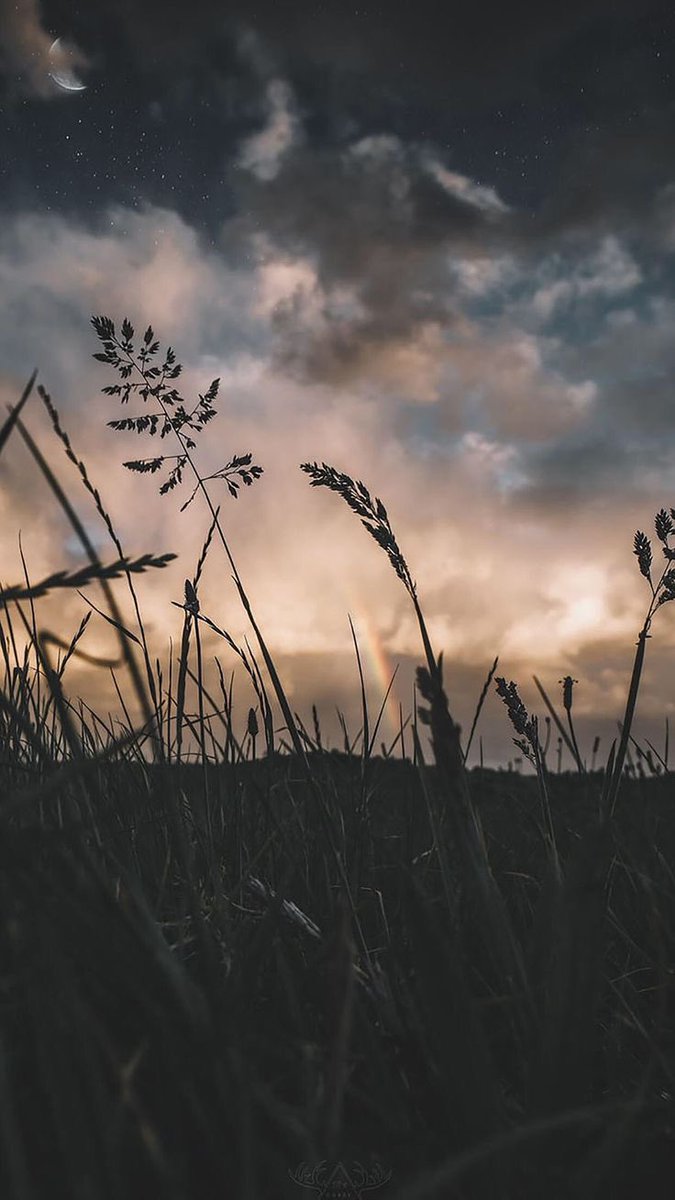 На землю медленно опускается ночь и всё погружается в сладкий сон. Желаю тебе приятных сновидений, солнышко.🌱
