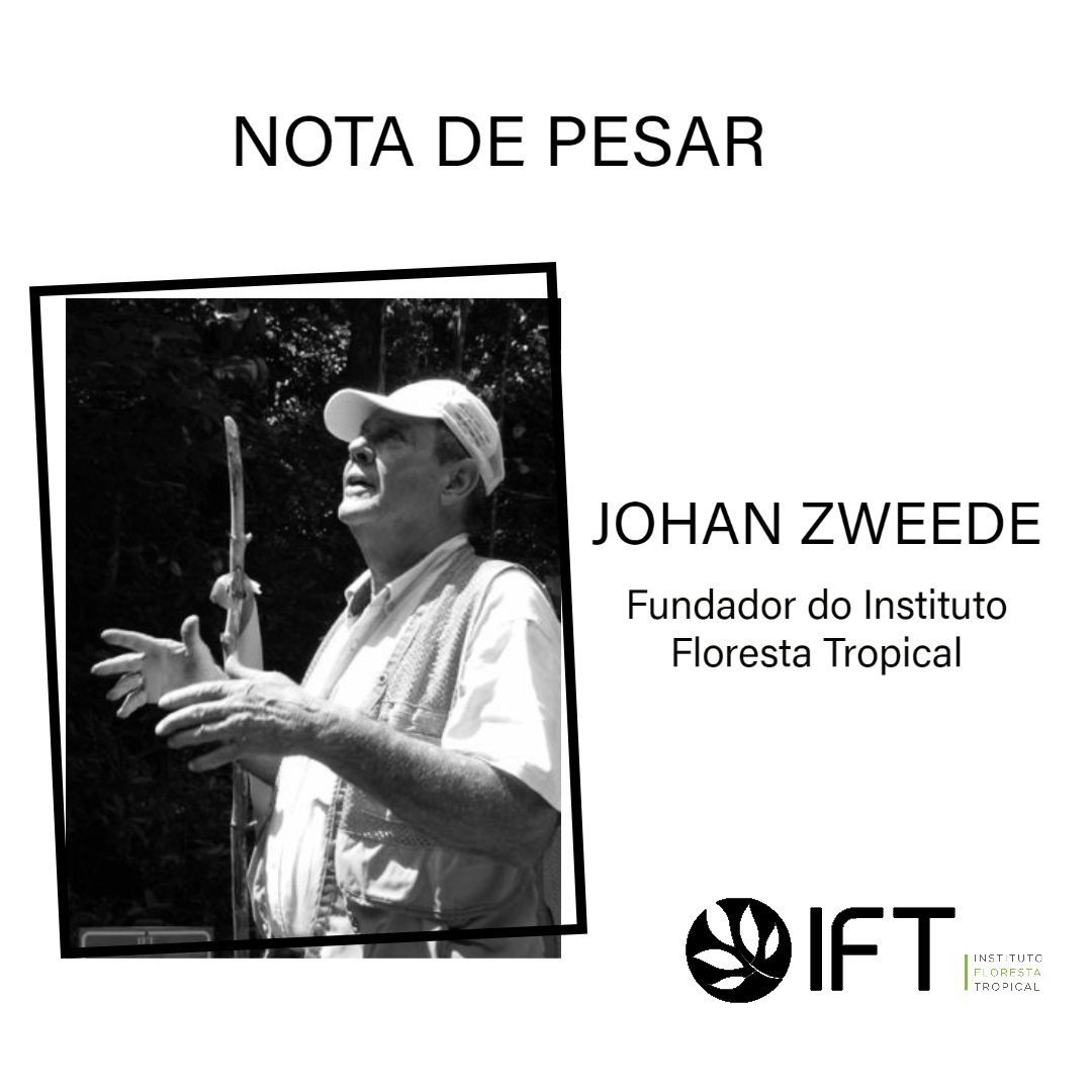 IFTAmazonia's tweet photo. O Instituto Floresta Tropical expressa profundo pesar pelo falecimento de seu fundador, Johan Cornelis Zweede, ocorrido neste domingo (21). Natural da Holanda e radicado no Brasil desde 1966, Zweede foi pioneiro no desenvolvimento de técnicas e pesquisas na área de manejo + https://t.co/qgQCMaOazd