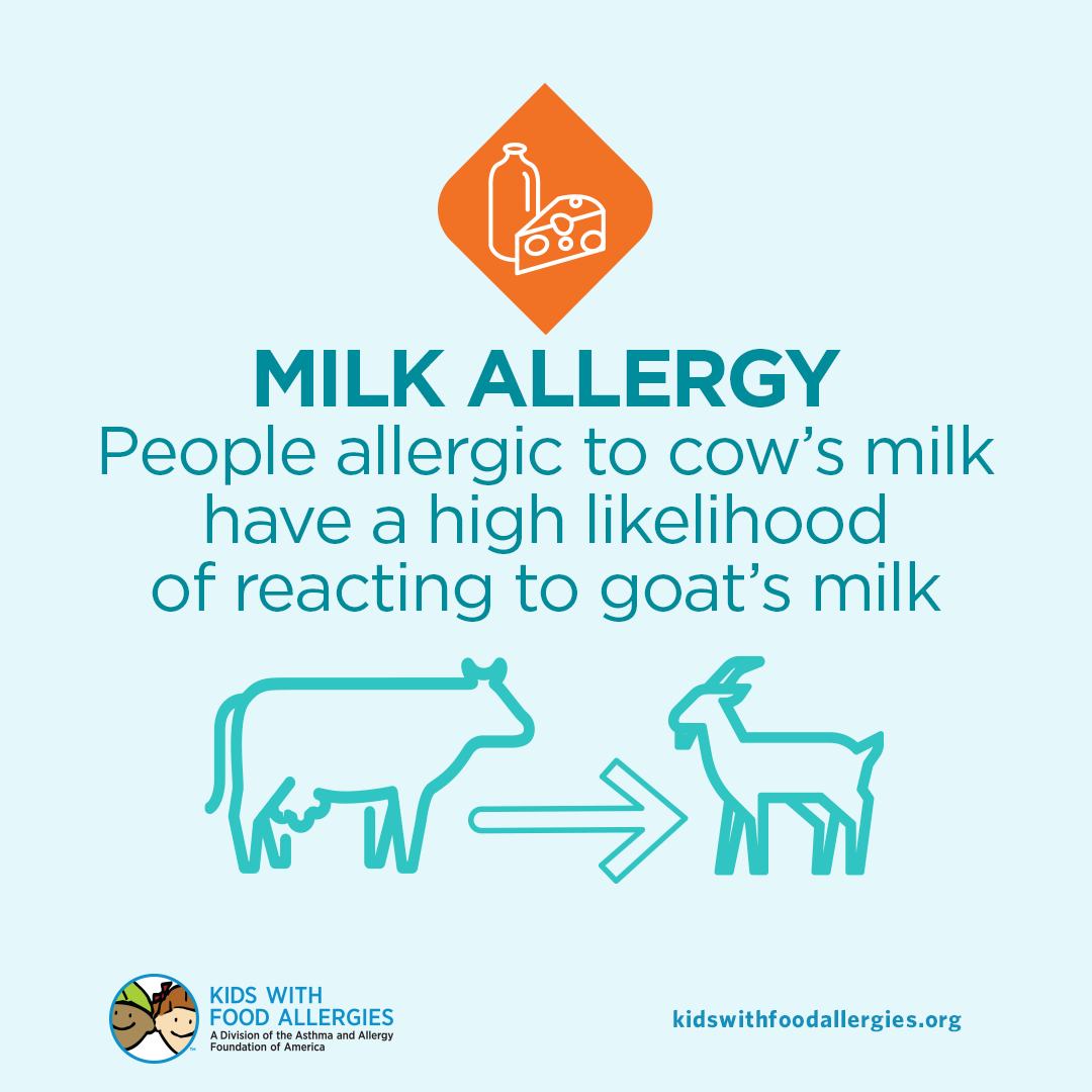 kfatweets's tweet image. There is a high degree of cross-reactivity between cow's milk and the milk from other mammals such as goat and sheep. kidswithfoodallergies.org/milk-allergy.a…