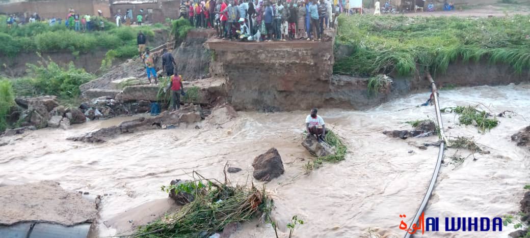 alwihdainfo's tweet photo. 🇹🇩 #Tchad : une grosse pluie a fait d’énormes dégâts à Pala ce dimanche en fin d’après-midi. Bilan : des maisons écroulées et englouties, des ponts cassés et un enfant décédé. https://t.co/GHXuB0z0rI